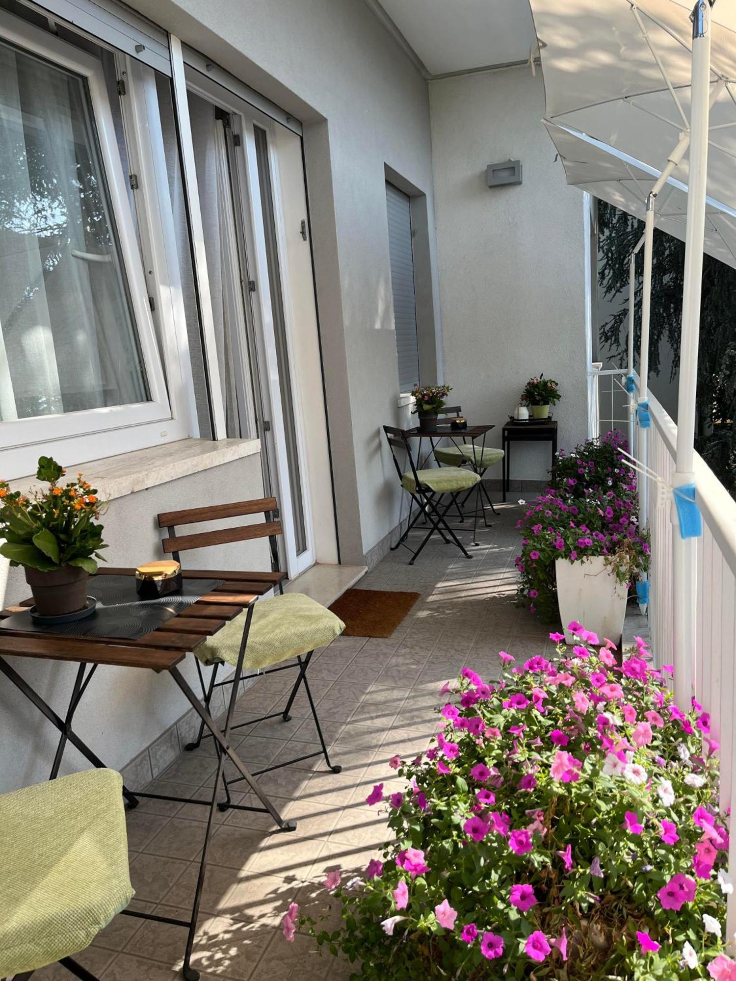 Villa Due Giardini 帕多瓦 外观 照片