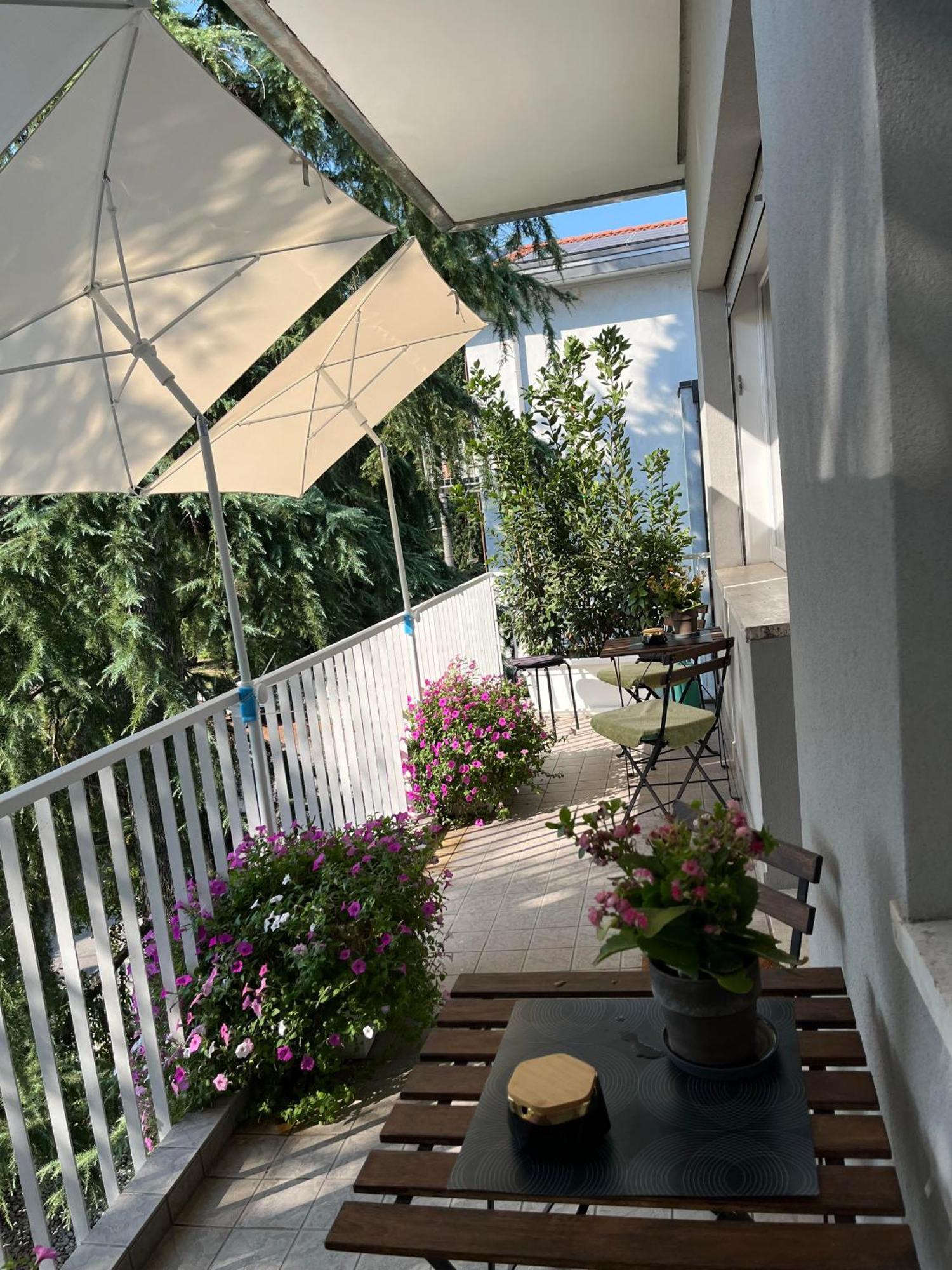 Villa Due Giardini 帕多瓦 外观 照片