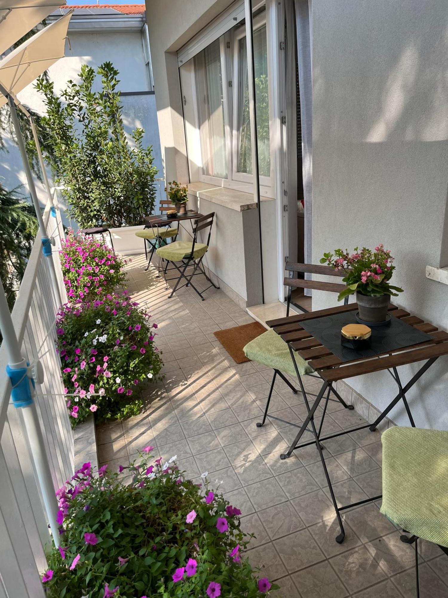 Villa Due Giardini 帕多瓦 外观 照片
